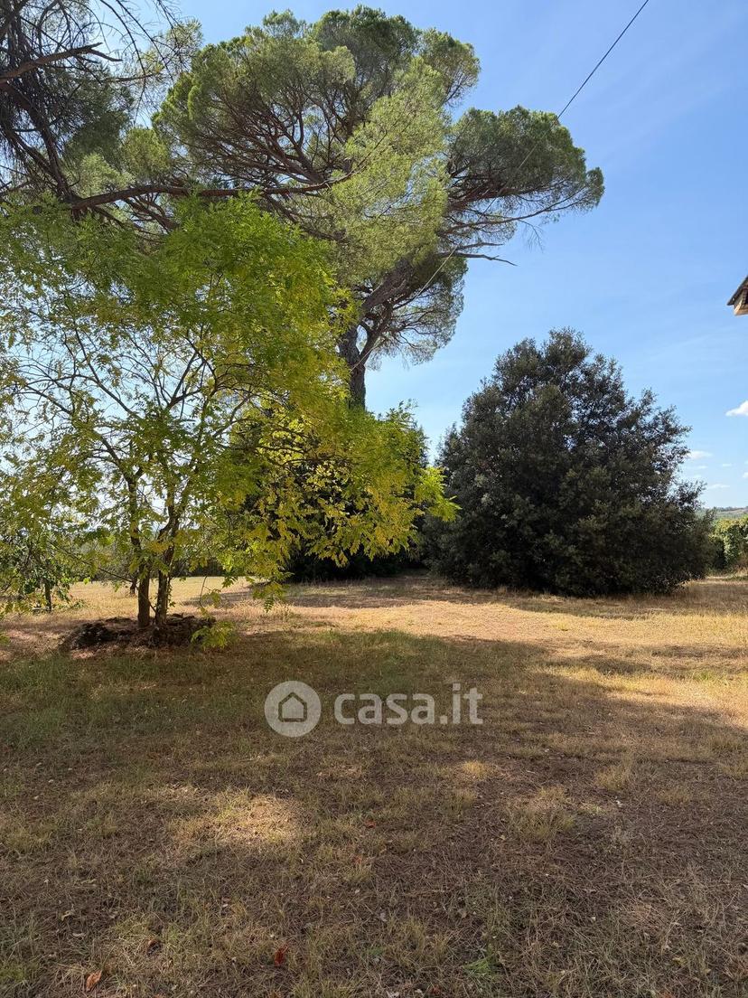 Villa in Strada Provinciale di Monteaperti — foto 4 di 54