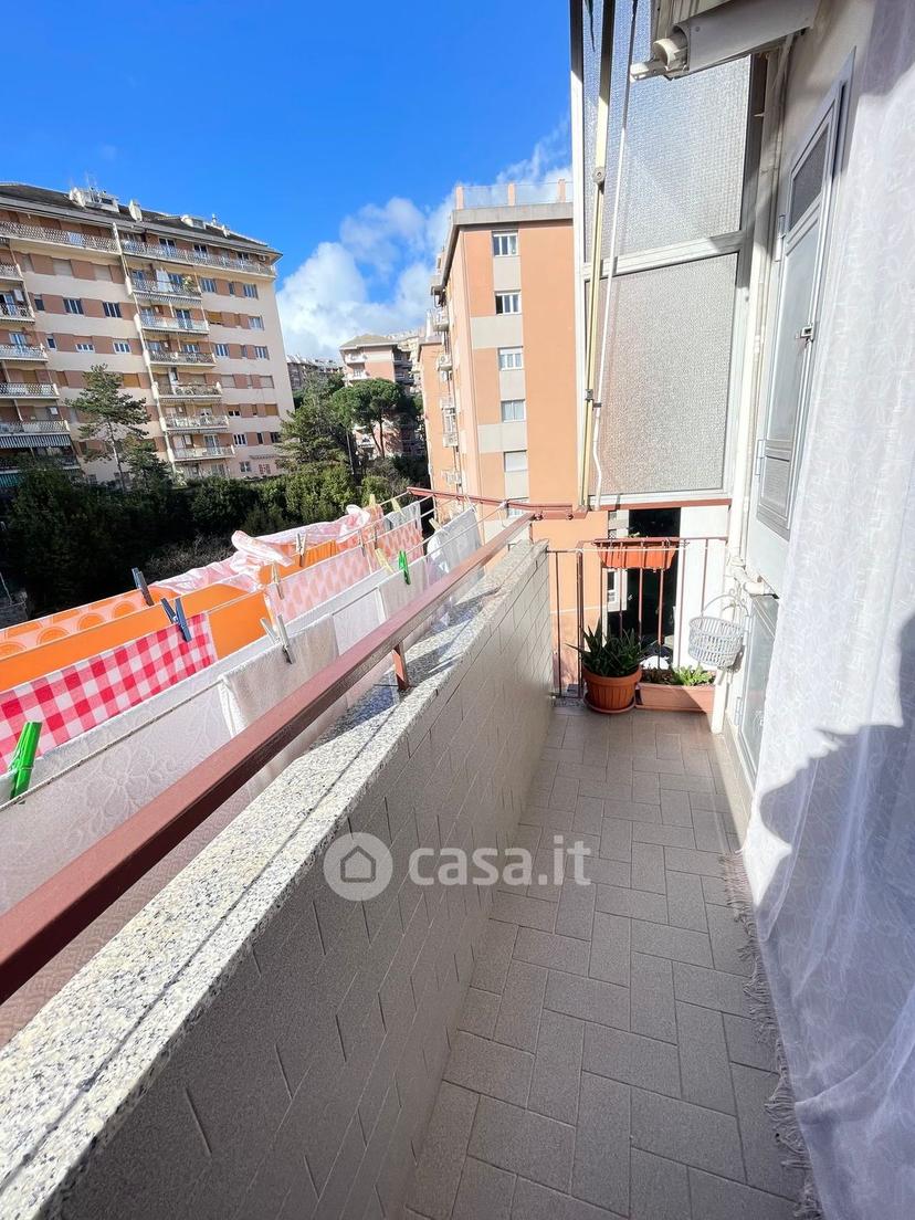 Trilocale in Via Emilio Salgari 6 — foto 9 di 31