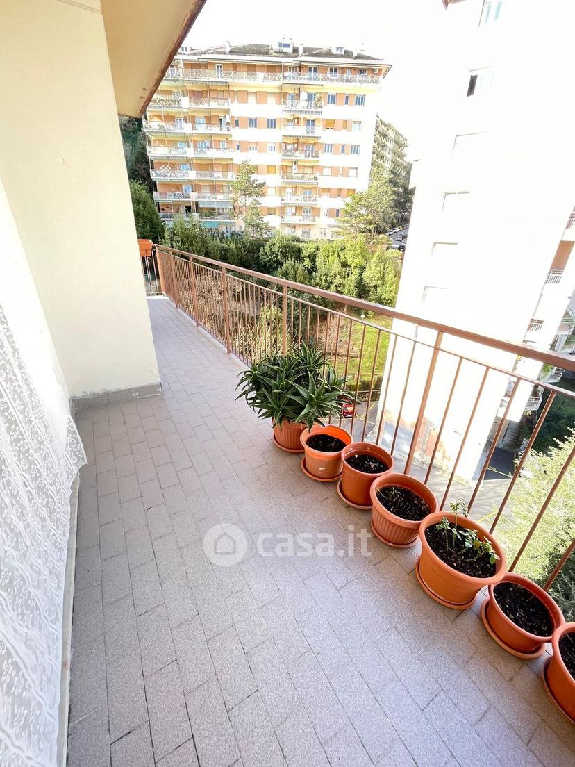 Trilocale in Via Emilio Salgari 6 — foto 15 di 31