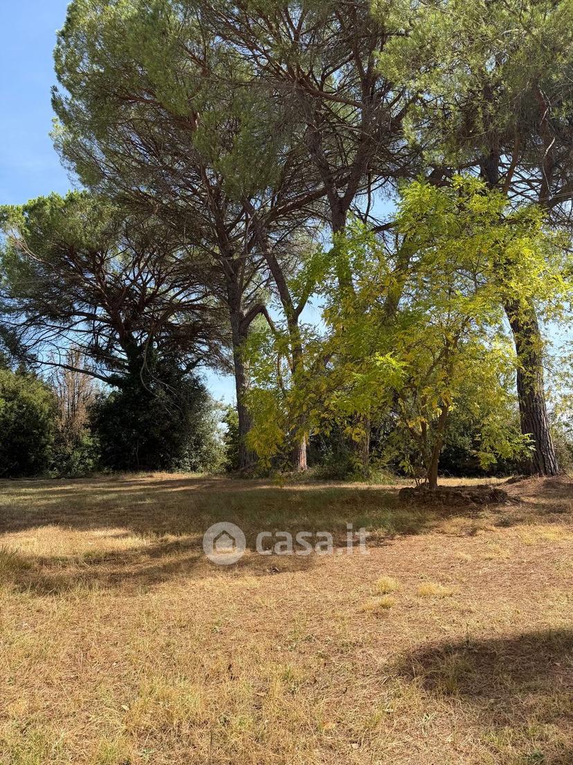 Villa in Strada Provinciale di Monteaperti — foto 15 di 54