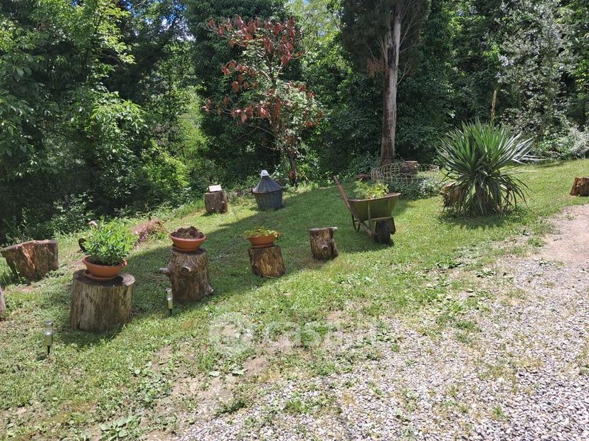 Stanza in Via La Casella — foto 11 di 23
