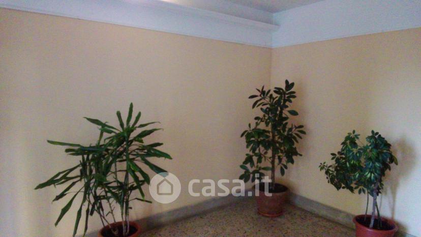 Appartamento in Via Amerigo Vespucci 12 — foto 5 di 22