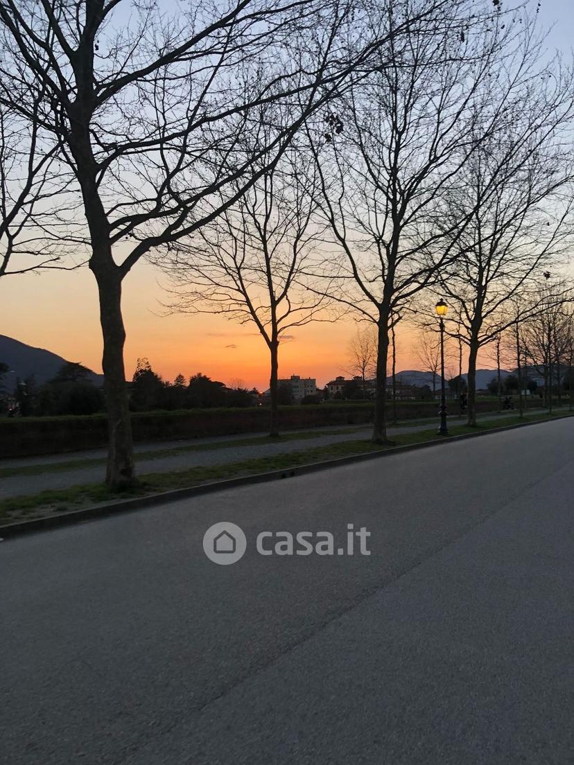 Appartamento in Via di Tiglio 548 — foto 3 di 16