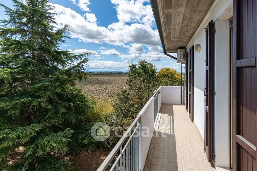 Stanza in Viale Montefeltro 39 — foto 11 di 18