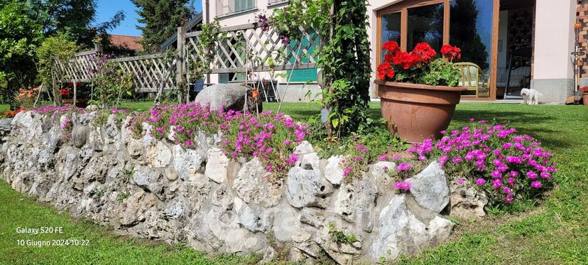 Stanza in Via Sant'Andrea 1 — foto 2 di 4