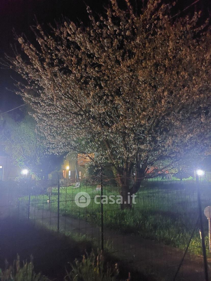 Stanza in Via Monsignor Pozzato 5 — foto 2 di 6