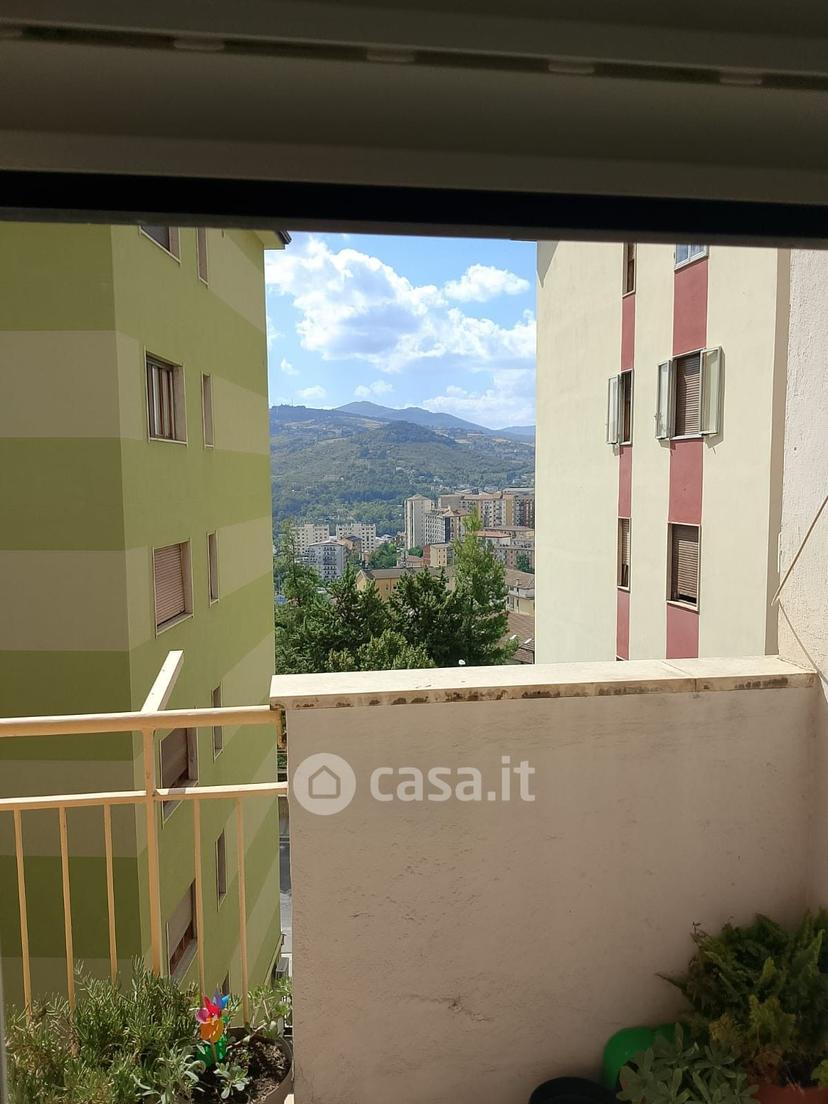 Appartamento in Via Amerigo Vespucci 12 — foto 20 di 22