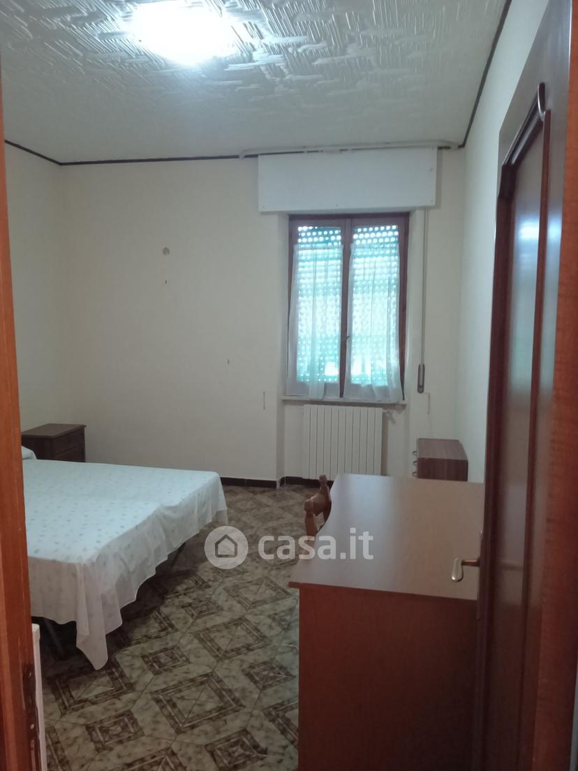 Stanza in Via Cesare Pinzi 9 — foto 2 di 9