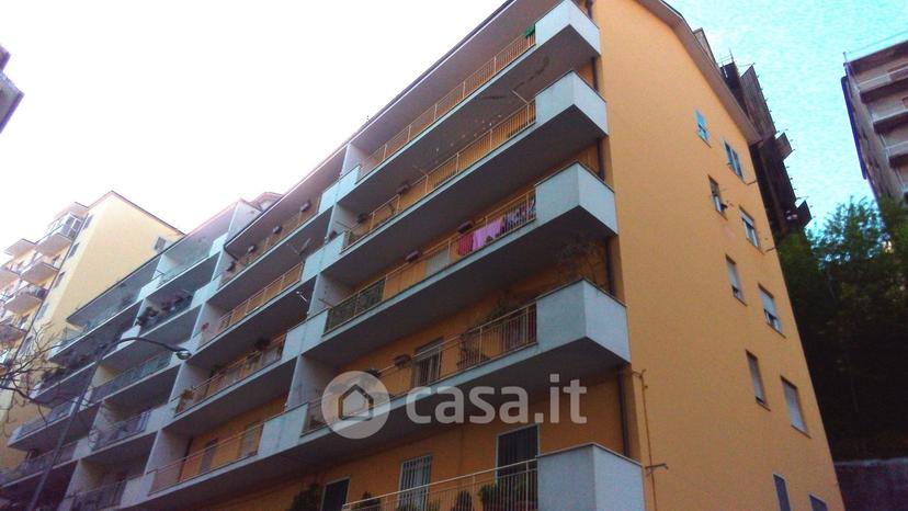 Appartamento in Via Amerigo Vespucci 12 — foto 21 di 22