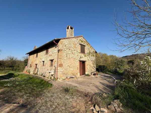 Casale in Vocabolo Bagno, Orte — foto 5 di 5