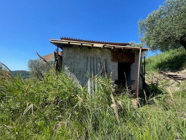 Rustico in Via Salincerqua 00, Mentana — foto 3 di 5