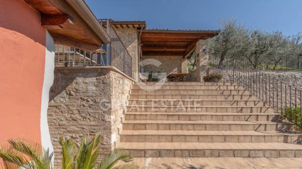 Casale, Trevi