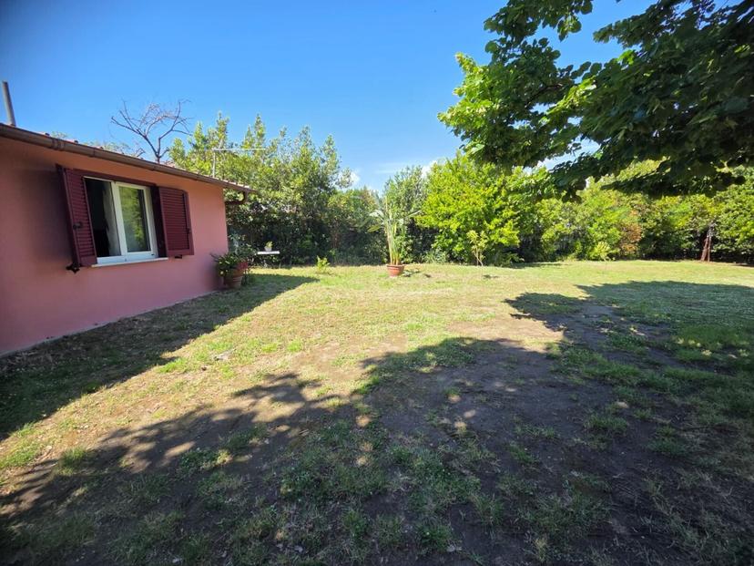 Villa, Massa — foto 4 di 5