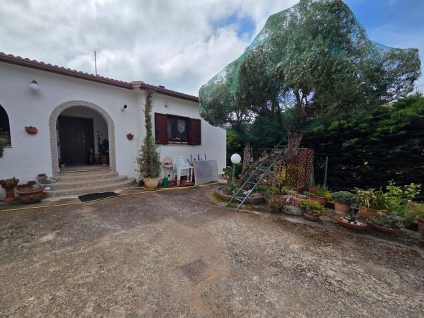 Villa in Contrada Magrio 24, Maierà — foto 5 di 5