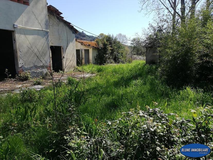 Rustico, Massarosa — foto 3 di 5