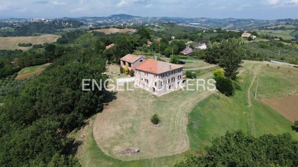 Casa colonica in Via Montecchio Alta 11, Borghi — foto 5 di 5