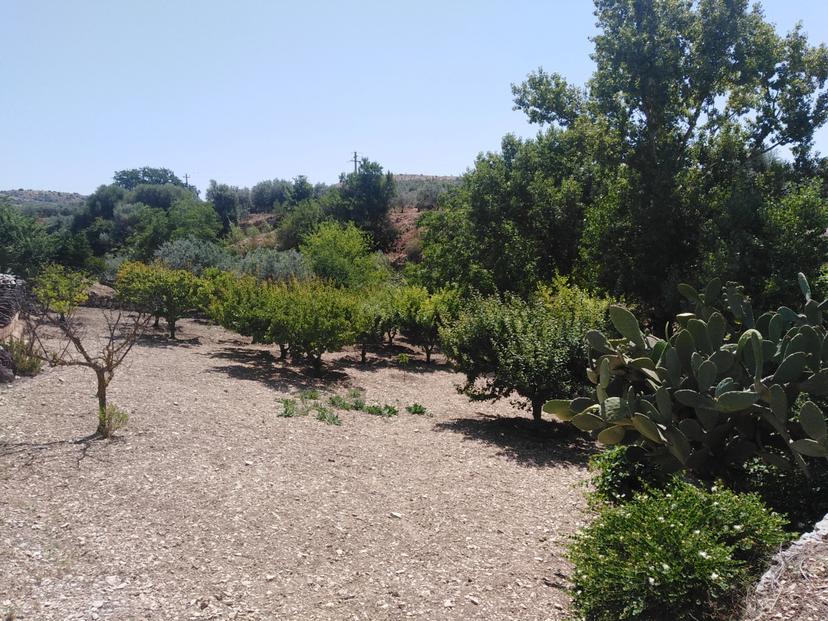 Casa indipendente, Chiaramonte Gulfi — foto 5 di 5