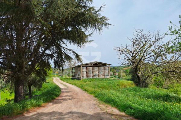 Casale in Vocabolo Casarella, Montegabbione — foto 4 di 5
