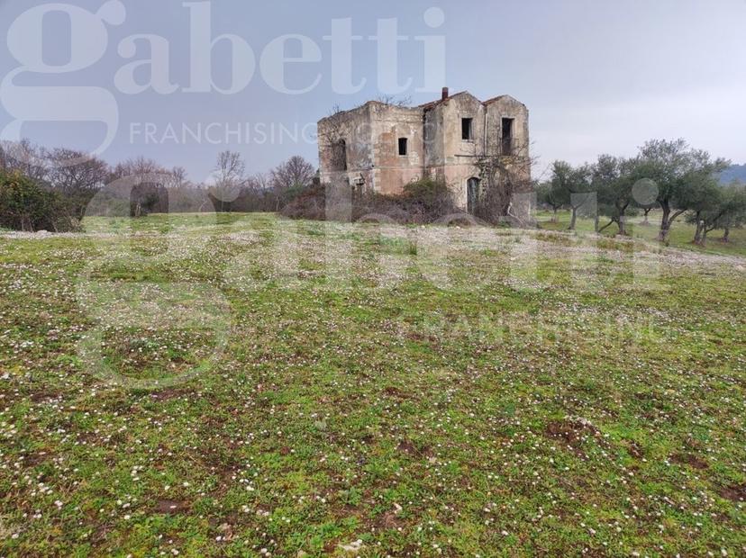 Rustico in Strada Vicinale di Valle Coppa 2, Vieste — foto 3 di 5