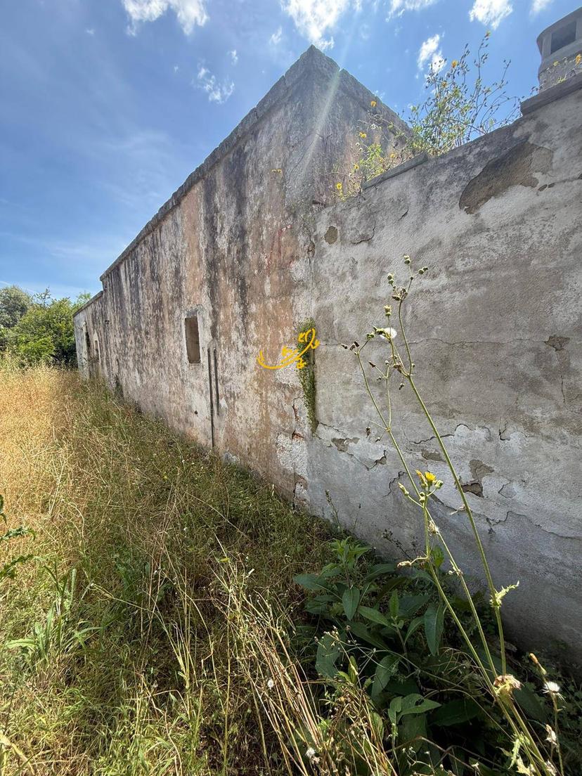 Rustico in Contrada Cozzana, Monopoli — foto 2 di 5