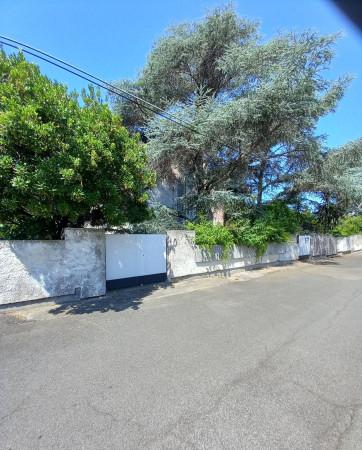Villa in Viale Silvana 48, Anzio
