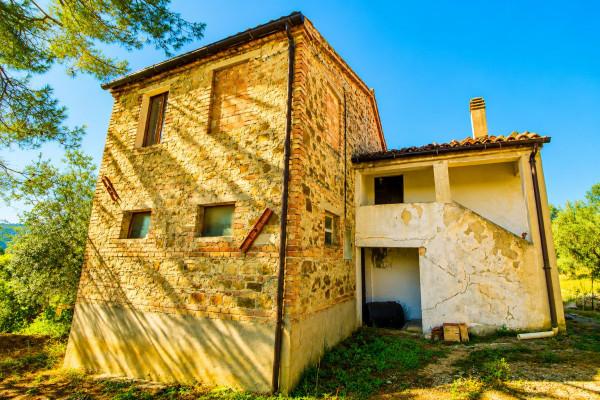 Casa colonica, Maiolati Spontini — foto 5 di 5