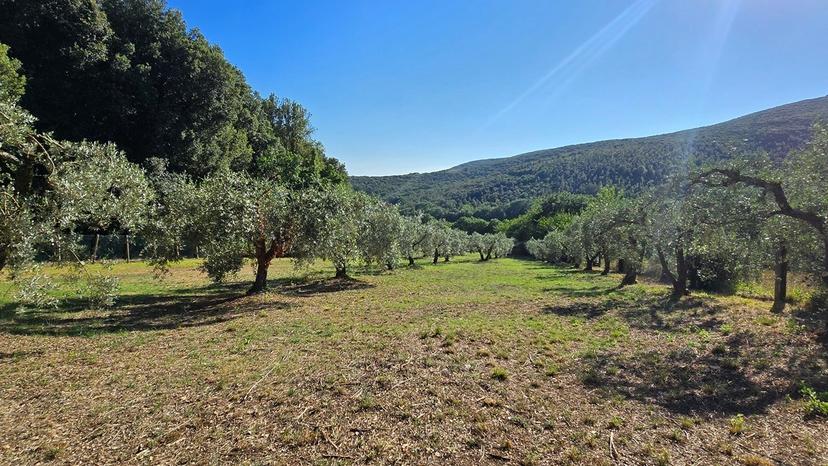 Rustico in Vocabolo Vallenera 24, Lugnano in Teverina — foto 2 di 5