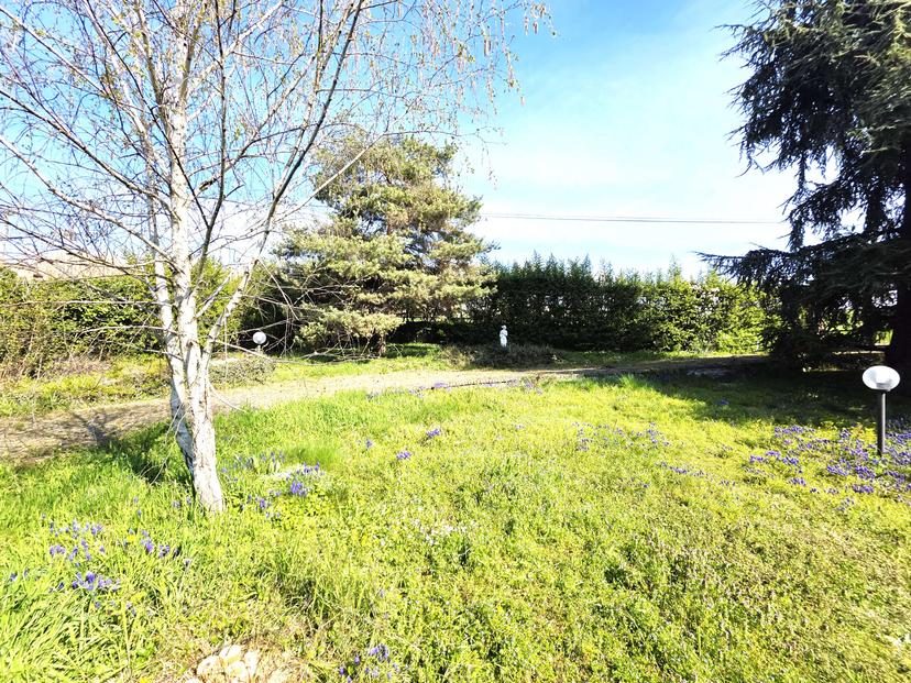 Villa unifamiliare in Strada Oliva 28, San Giorgio Monferrato — foto 3 di 5