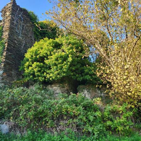 Rustico in Via Gino Pellegrini, Varazze — foto 4 di 5