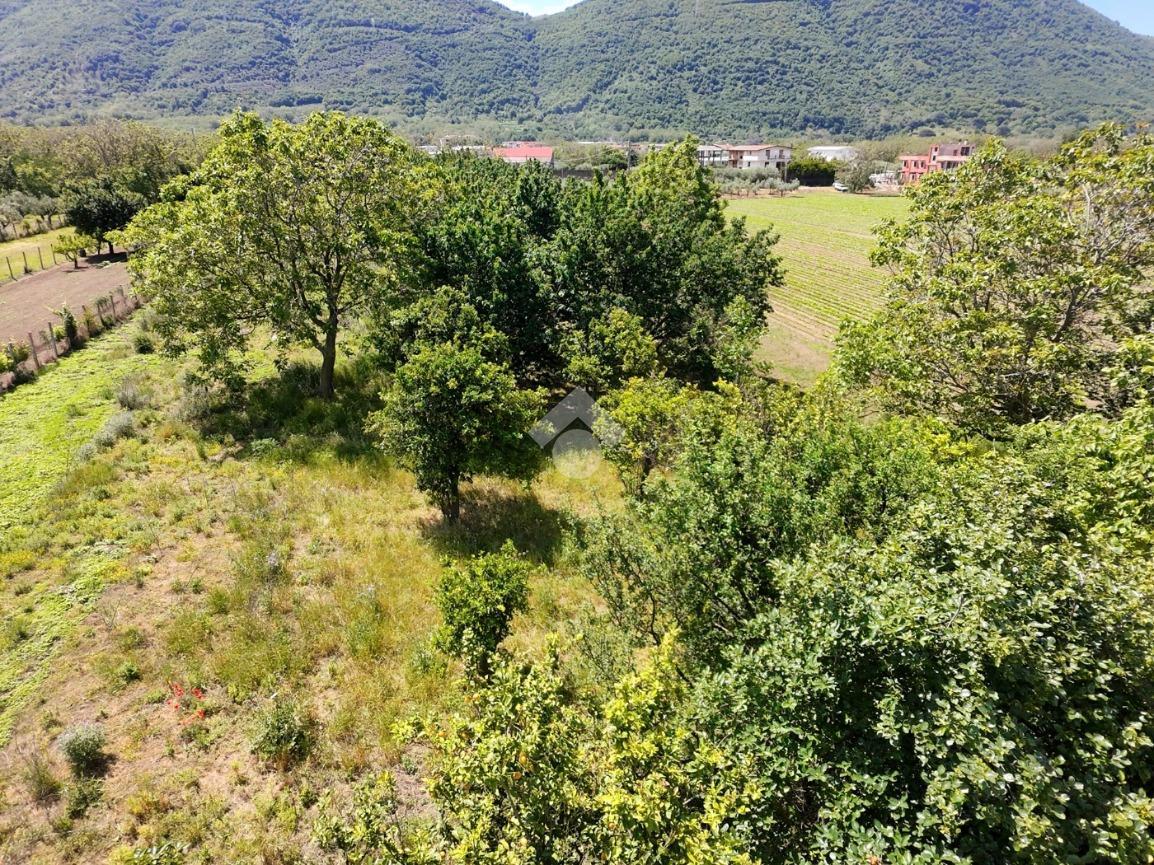 Casa indipendente in Via Tredici Monaci 12, San Felice a Cancello