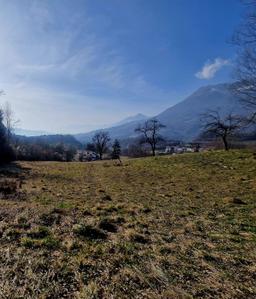 Rustico, Chies d'Alpago