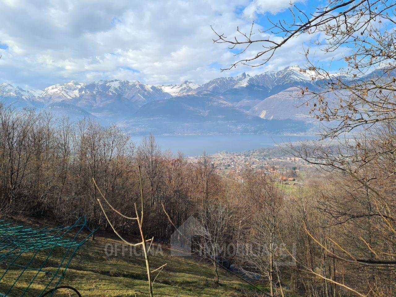 Rustico, Colico