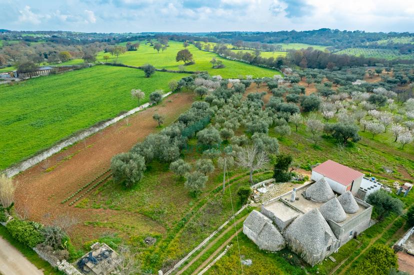 Rustico in Contrada Terranova, Monopoli — foto 4 di 5