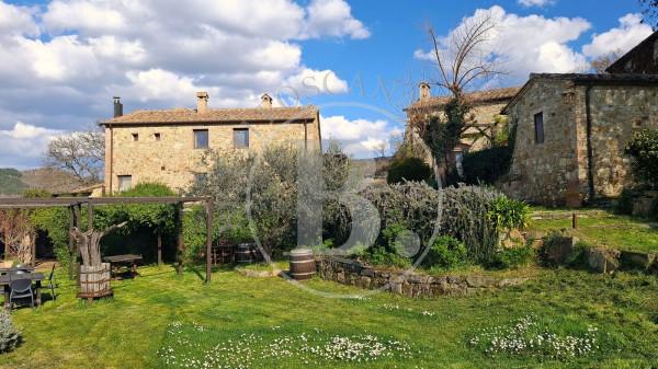 Casale in Località Pietti, Casole d'Elsa — foto 4 di 5