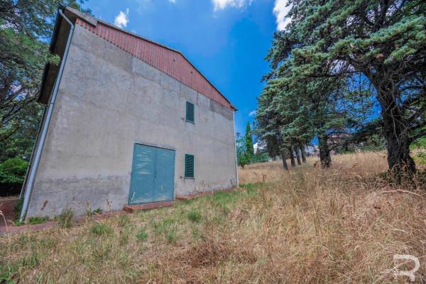 Rustico in Strada Provinciale Pitigliano-Santa Fiora, Sorano — foto 4 di 5