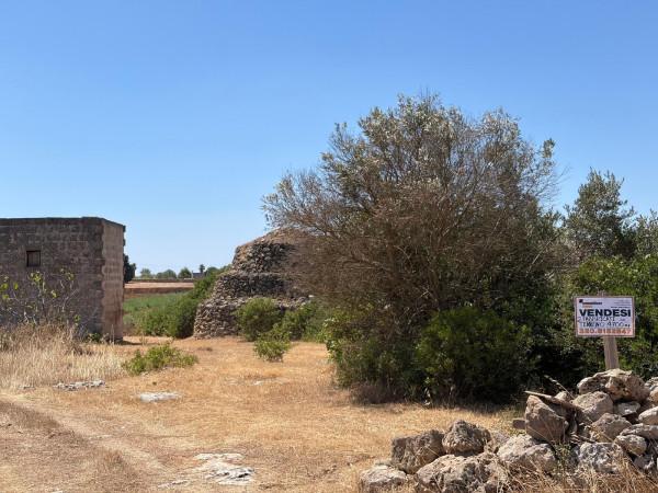 Trullo in Via 11b 16, Manduria — foto 3 di 5