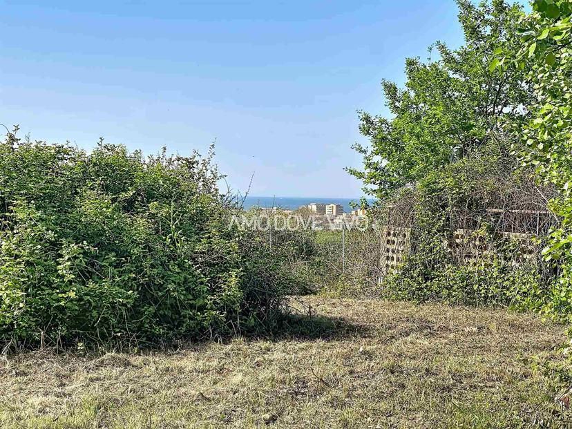 Casa colonica, San Costanzo