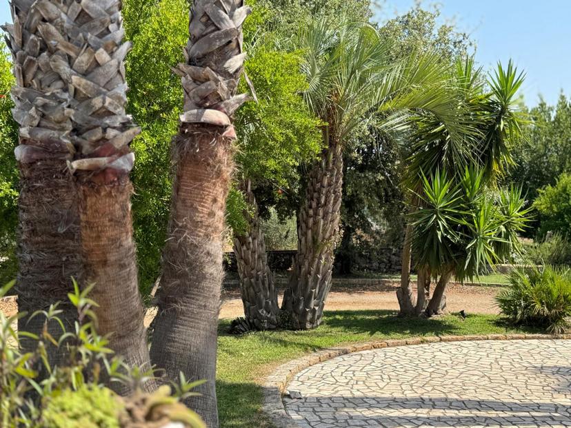 Villa in Strada Vicinale Fiusco, Tuglie — foto 5 di 5