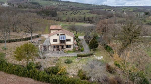 Villa in Via del Corvettone, Montecchio
