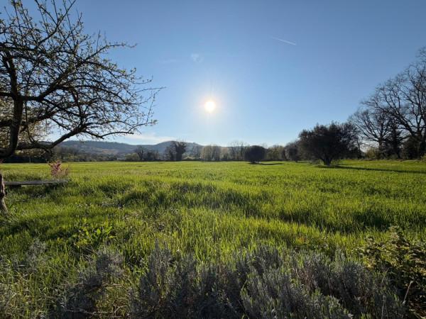 Casale in Vocabolo Bagno, Orte — foto 4 di 5