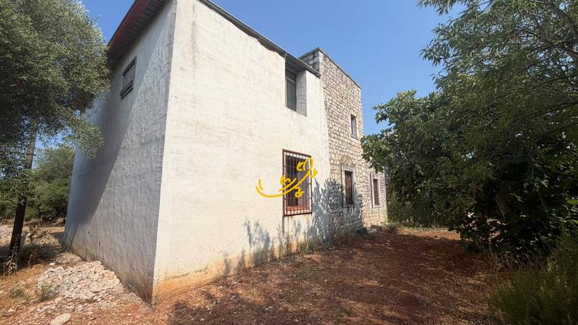 Rustico in Contrada Chiancafredda, Castellana Grotte — foto 5 di 5