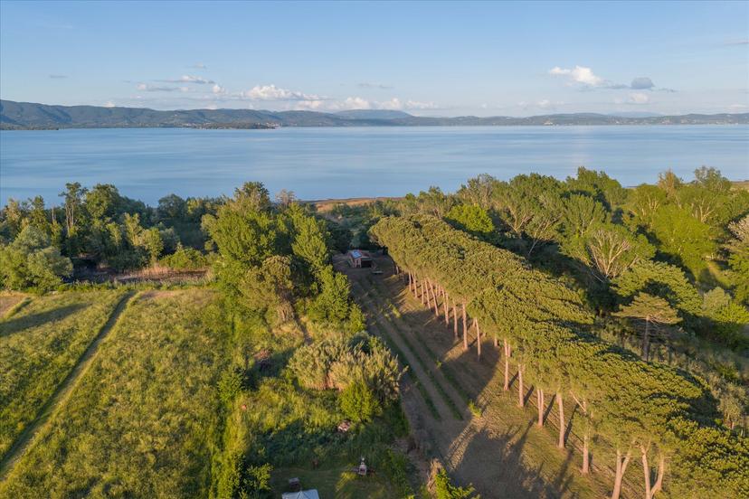 Casa indipendente, Castiglione del Lago — foto 4 di 5