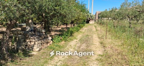 Rustico in Contrada Piana, Sciacca — foto 5 di 5