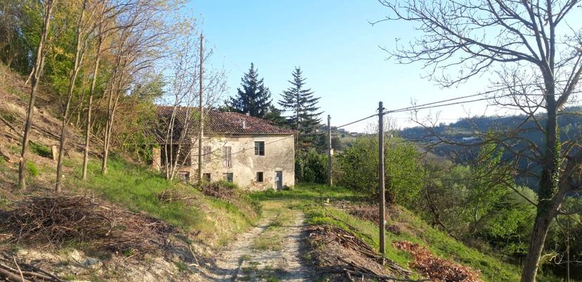 Rustico in Via Canelli, Cassinasco — foto 3 di 5