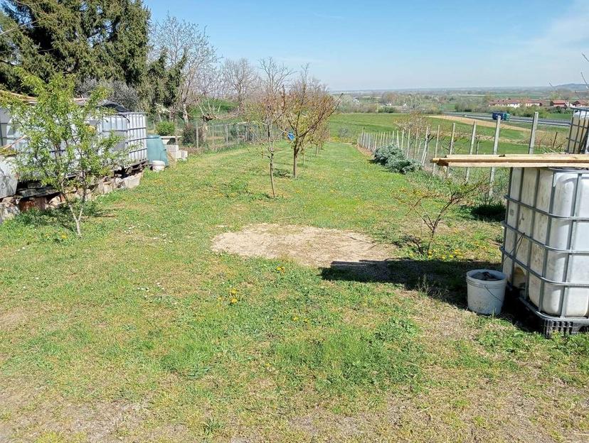 Rustico, San Salvatore Monferrato — foto 3 di 5