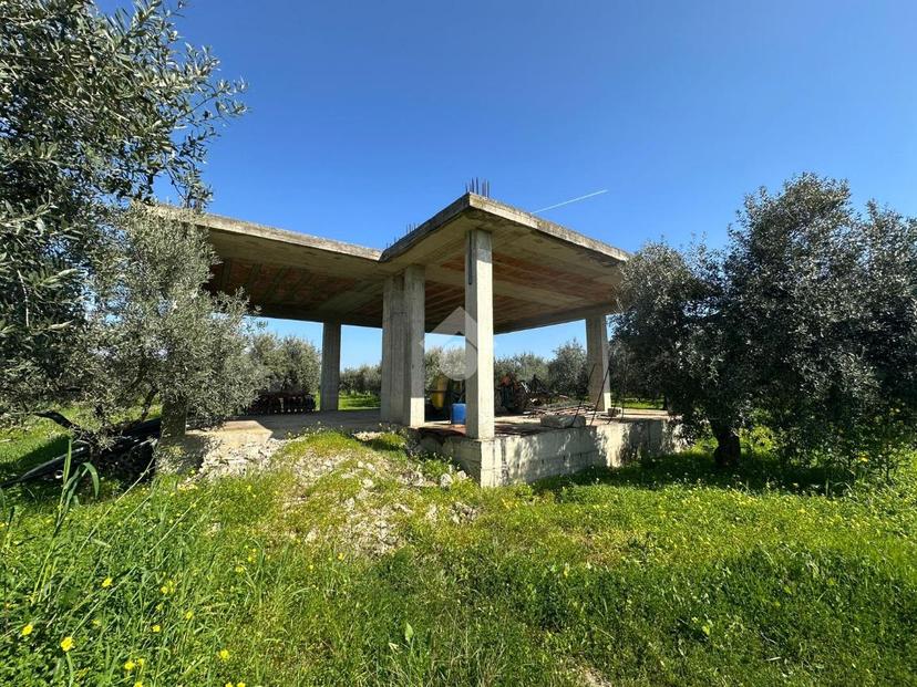 Rustico in C/da Bruscata Grande, Cassano all'Ionio — foto 2 di 5