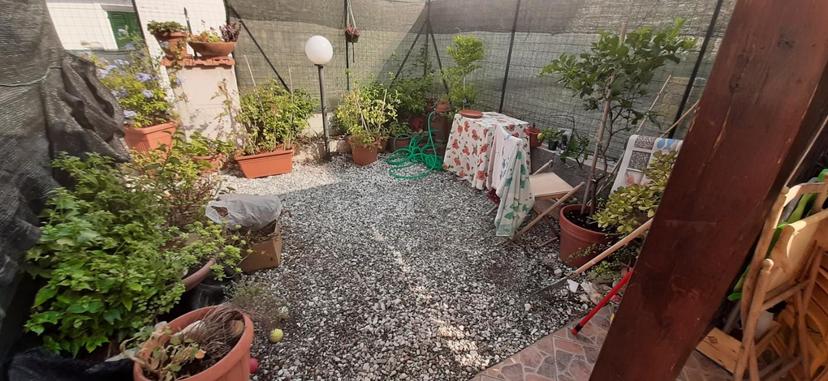 Bilocale, Rosignano Marittimo — foto 3 di 5