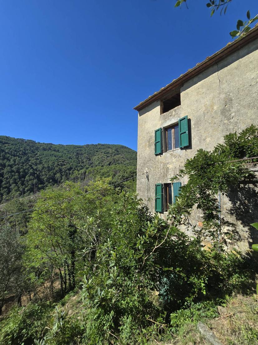 Rustico in Via Santa Lucia, Calci — foto 2 di 5