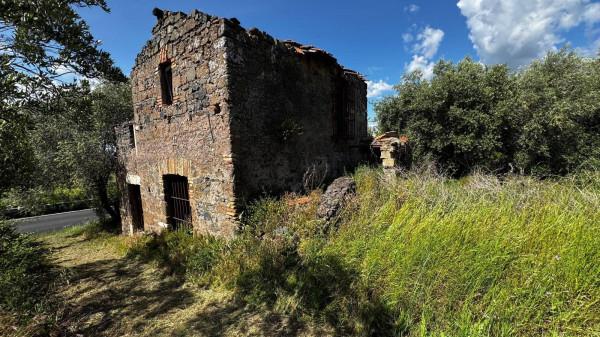 Rustico in Via di Colonna, San Cesareo — foto 3 di 5