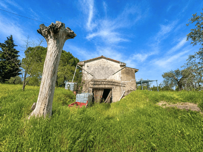Casa indipendente, Palaia — foto 2 di 5